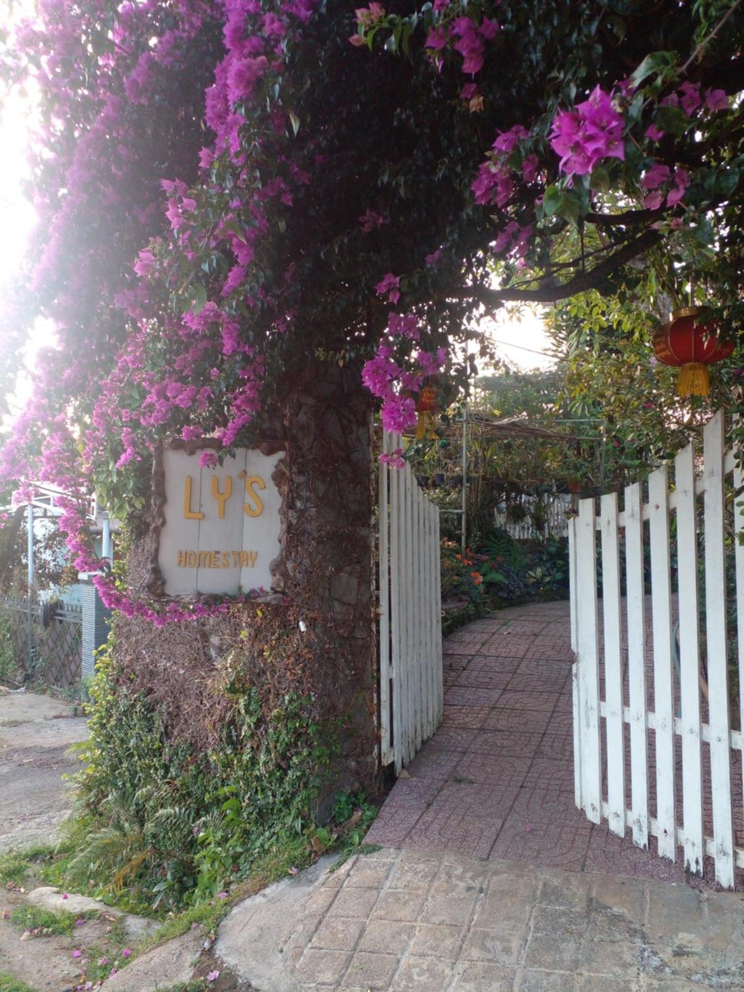 Ly'S Homestay Gia Nghĩa Kültér fotó